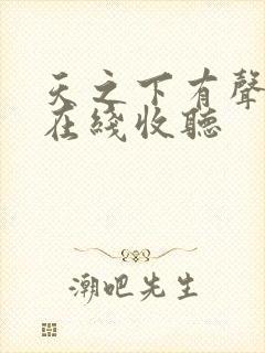 天之下有声小说在线收听