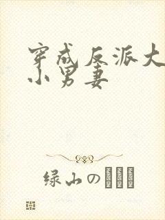 穿成反派大佬的小男妻封面