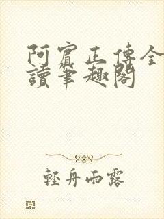 阿宾正传全文阅读笔趣阁封面