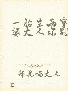 一胎生两宝,老婆大人你别逃