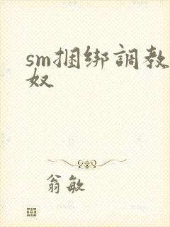sm捆绑调教男奴