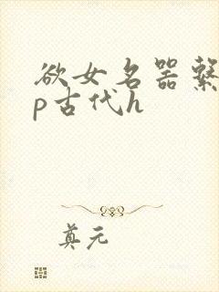 欲女名器系统np古代h