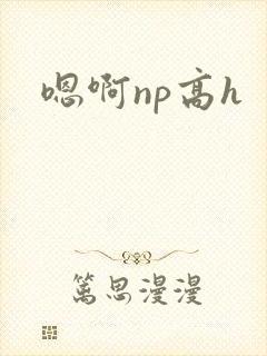 嗯啊np高h