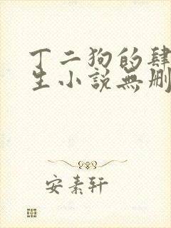 丁二狗的肆意人生小说无删减全文阅读