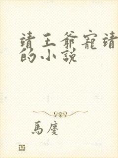 靖王爷宠靖王妃的小说