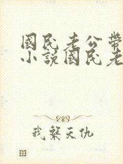 国民老公带回家小说国民老公带回家