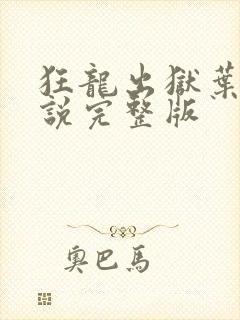 狂龙出狱叶风小说完整版