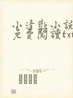 小清欢小说全文免费阅读txt下载封面