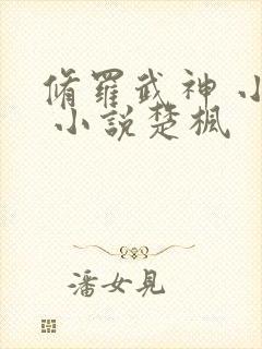 修罗武神 小说 小说楚枫