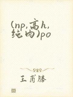(np,高h,纯肉)po