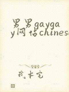 男男gaygay网站chinese