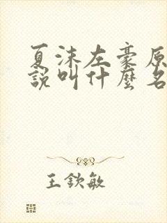 夏沫左豪原著小说叫什么名字封面