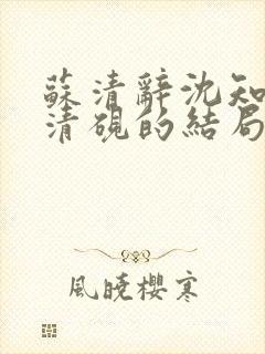 苏清辞沈知夏林清砚的结局是什么