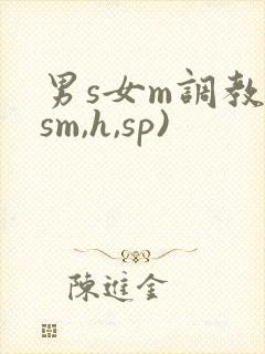 男s女m调教(sm,h,sp)