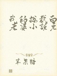 我的总裁白富美老婆小说免费读封面