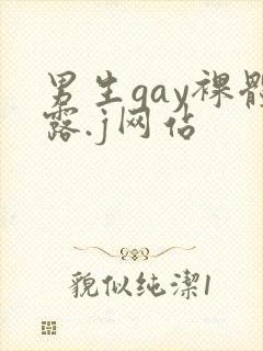 男生gay裸体露.j网站