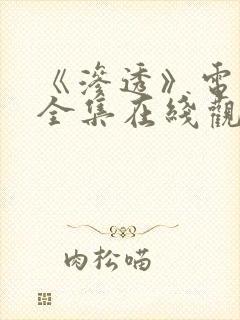 《渗透》电视剧全集在线观看免费封面