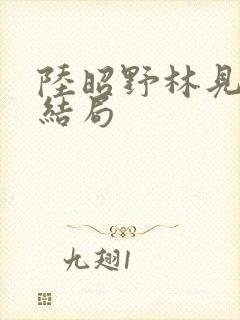 陆昭野林见疏大结局封面