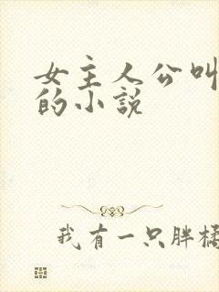 女主人公叫周晴的小说
