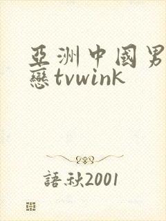 亚洲中国男同性恋tvwink封面