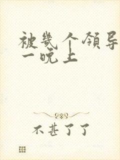 被几个领导玩弄一晚上