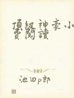 顶级神豪小说免费阅读