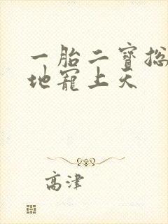 一胎二宝总裁爹地宠上天封面