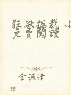 狂欲总裁 小说免费阅读