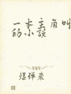 一本主角叫林洛的小说