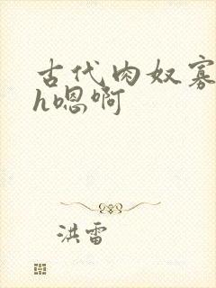 古代肉奴寡妇高h嗯啊