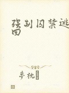 强制囚禁逃跑抓回封面