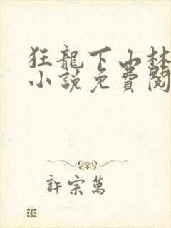 狂龙下山林不悔小说免费阅读