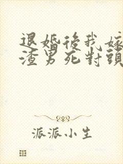 退婚后我嫁给了渣男死对头