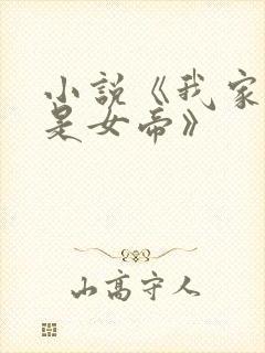 小说《我家老婆是女帝》封面