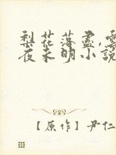 梨花落尽,云散夜未明小说