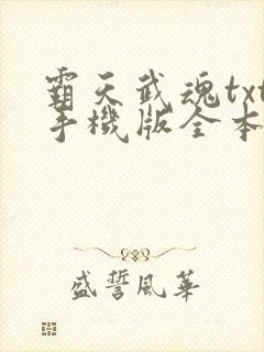 霸天武魂txt手机版全本txt封面