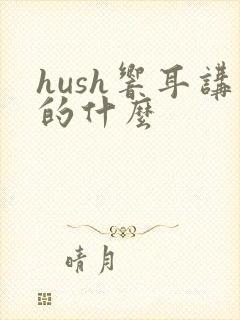 hush响耳讲的什么