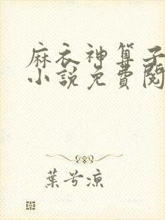 麻衣神算子全本小说免费阅读