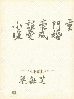 小说豪门重生之暖爱成婚