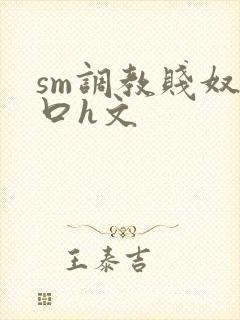 sm调教贱奴重口h文封面
