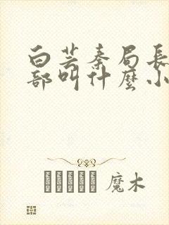白芸秦局长第二部叫什么小说名字封面