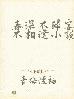 春深不归客清梦不相逢小说在线阅读封面