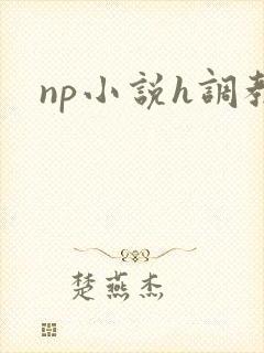 np小说h调教封面