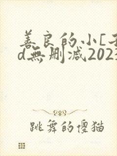 善良的小[子hd无删减2023封面