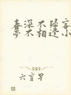 春深不归客 清梦不相逢小说封面