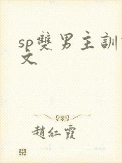 sp双男主训诫文