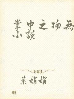 掌中之物无删减小说