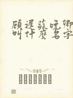 顾迟苏晚卿小说叫什么名字封面