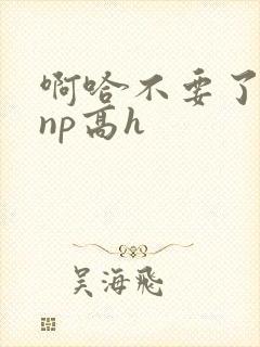 啊哈不要了男男np高h