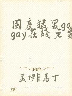 国产猛男gaygay在线免费观看